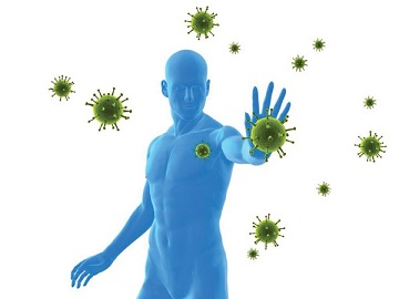 Hệ miễn dịch tấn công virus như thế nào?