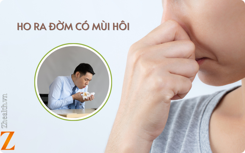 Ho ra đờm có mùi hôi