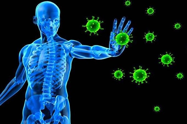 Hệ miễn dịch là gì, phân bố như thế nào?