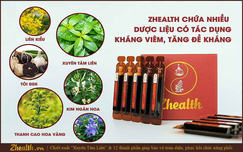Siro Zhealth chứa Kim ngân hoa và nhiều thảo dược quý bảo vệ sức khoẻ, tăng cường đề kháng