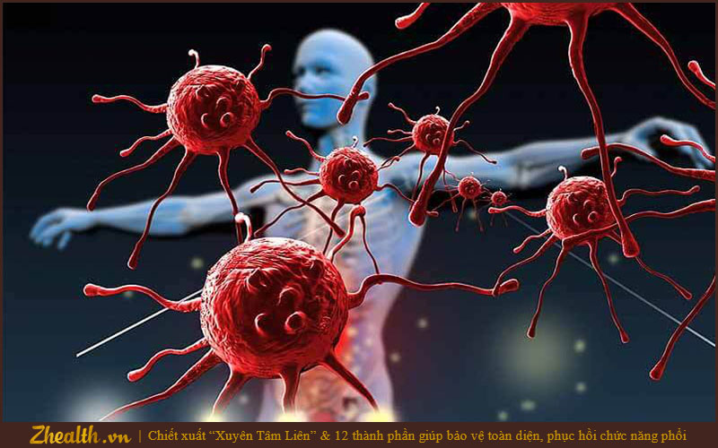 Tế bào T có tác dụng ghi nhớ dữ liệu, kích hoạt chế độ miễn dịch khi virus tấn công