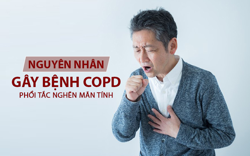Các yếu tố gây bệnh COPD có thể đến từ nội tại hoặc từ môi trường bên ngoài