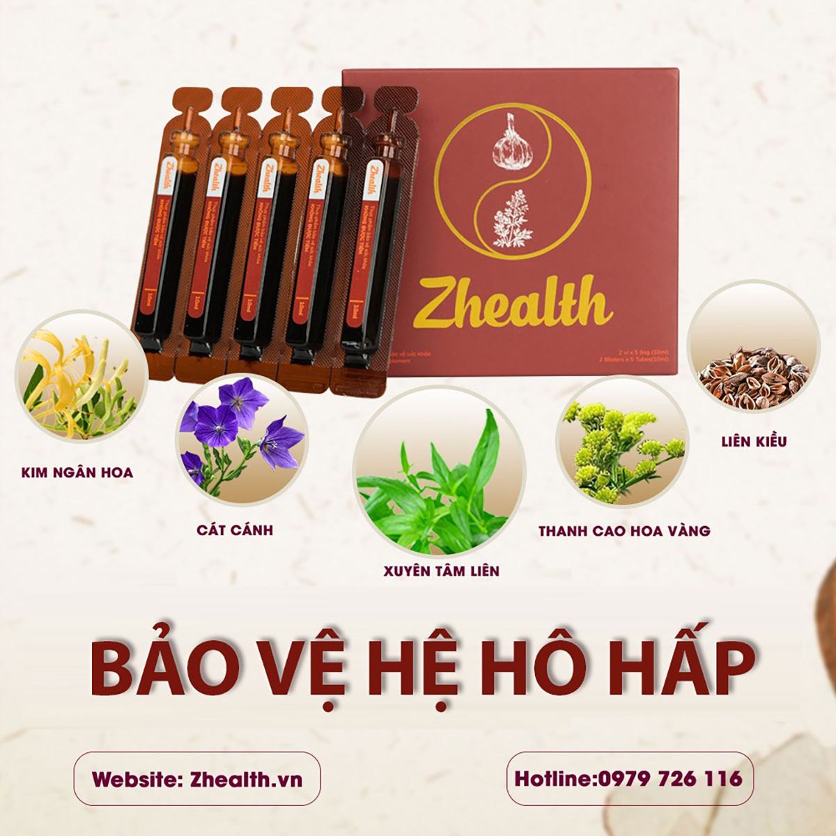 Báo thanh niên: chữa di chứng hậu covid với xuyên tâm liên