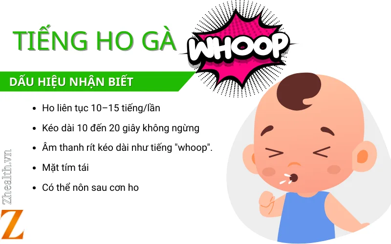 Dấu hiệu nhận biết tiếng ho gà