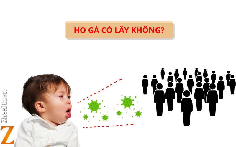 Ho gà có lây không? Lây bằng cách nào?