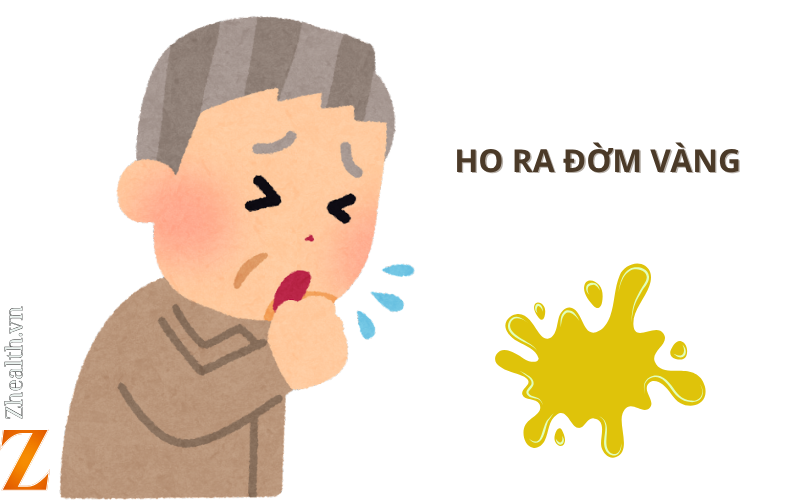 Ho ra đờm màu vàng cảnh báo bệnh gì?