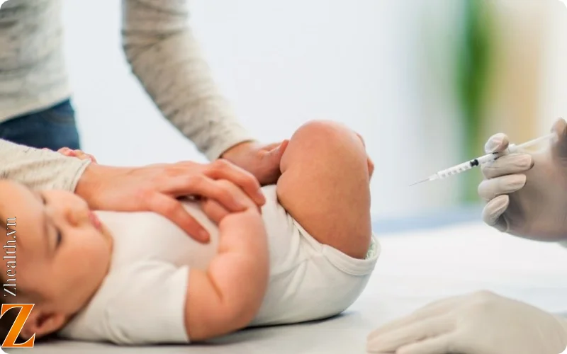 trẻ em dưới 6 tháng tuổi dễ bị lây nhiễm bệnh ho gà